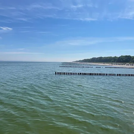 Zur Wellenwiese 22a Vogelsang Appartement Zingst